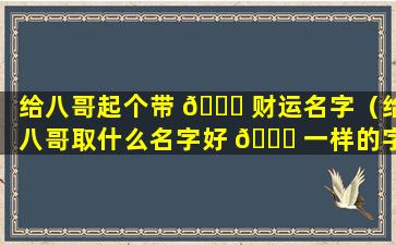 给八哥起个带 🍀 财运名字（给八哥取什么名字好 🐘 一样的字）